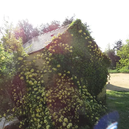 Au Pre De L'arbre * Sarlat
