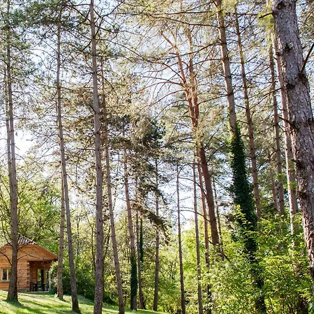 Au Pre De L'arbre Ferienhaus Sarlat