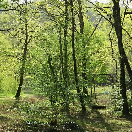 Ferienhaus Au Pre De L'arbre Sarlat
