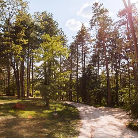 Au Pre De L'arbre * Sarlat