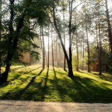 Au Pre De L'arbre Sarlat