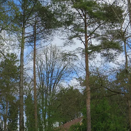 Au Pre De L'arbre Ferienhaus Sarlat