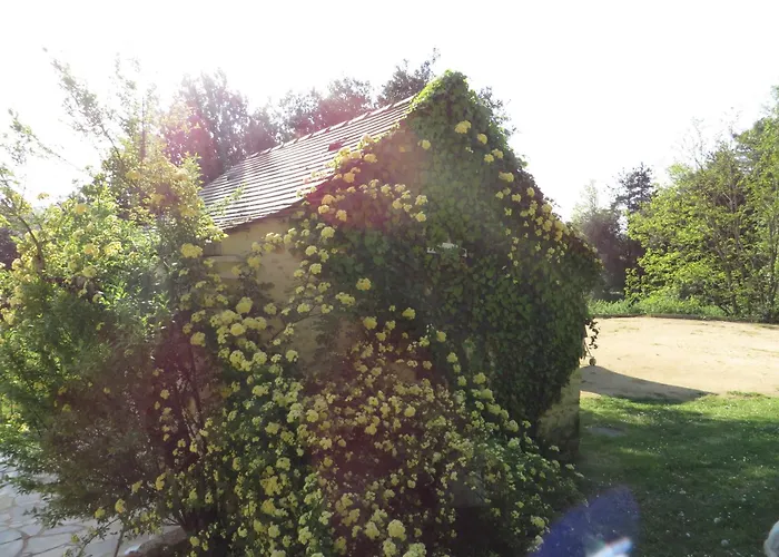 Au Pre De L'arbre * Sarlat-la-Caneda