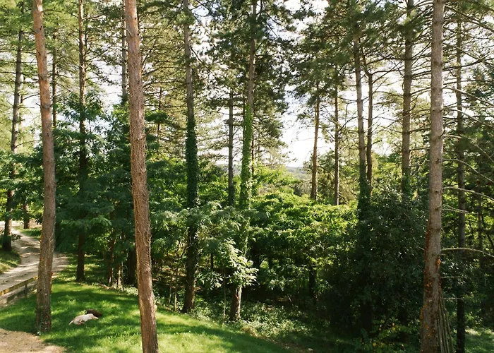 Résidence Au Pré De L'arbre