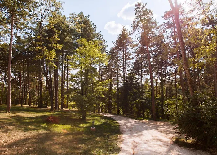 Résidence Au Pré De L'arbre * Sarlat
