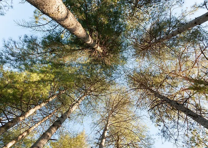 Casa vacanze Résidence Au Pré De L'arbre *