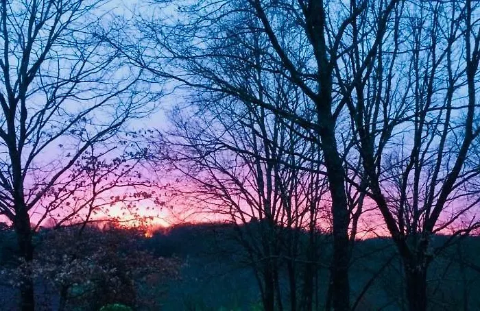 Résidence Au Pré De L'arbre