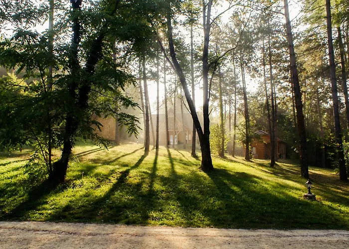 Au Pre De L'arbre Sarlat-la-Caneda