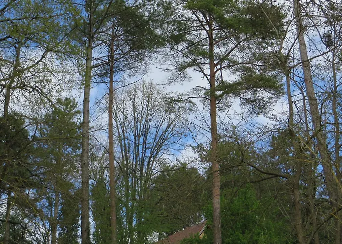 Résidence Au Pré De L'arbre Casa vacanze Sarlat
